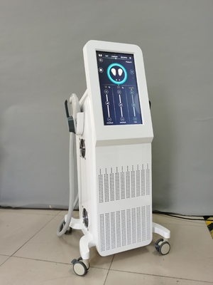 إنقاص الوزن EMS آلة نحيلة 4000W الكهرومغناطيسية لإنقاص الوزن EMS آلة النحت
