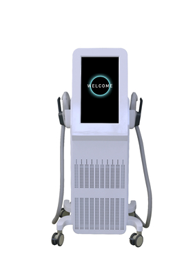 إنقاص الوزن EMS آلة نحيلة 4000W الكهرومغناطيسية لإنقاص الوزن EMS آلة النحت