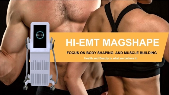 4 معالجة آلة EMS RF المهنية EMS آلة Neo للشكل الجسم