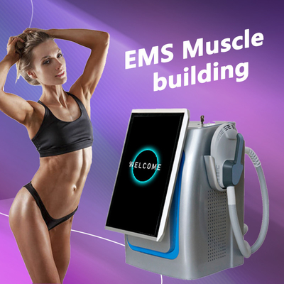 آلة النحت للجسم EMS قوية ، محفز عضلات مغناطيسي نبض 300us 5000w